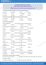 Đề thi giữa kì 2 Tiếng Anh 7 Global Success - Đề số 1
